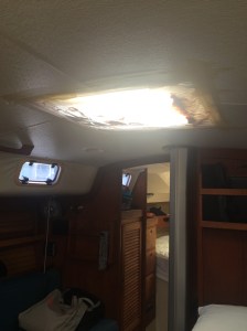 Our garbage bag barrier still lets in light!