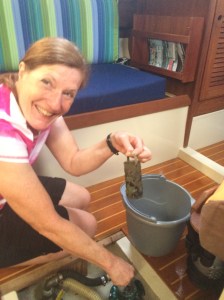 There's jellyfish in that there filter.