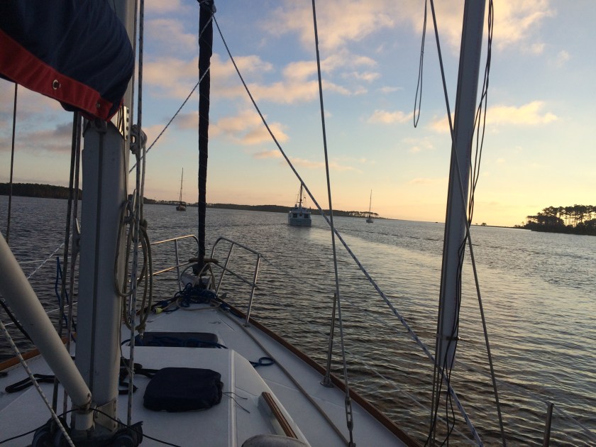 Oh, looky, looky!! It’s a Snowbird Flotilla on the Neuse!